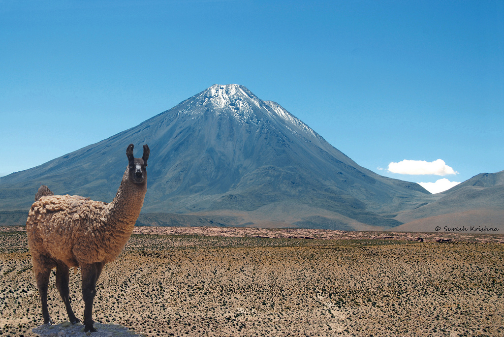 Image result for llama volcano