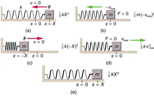 Image result for simple harmonic oscillator
